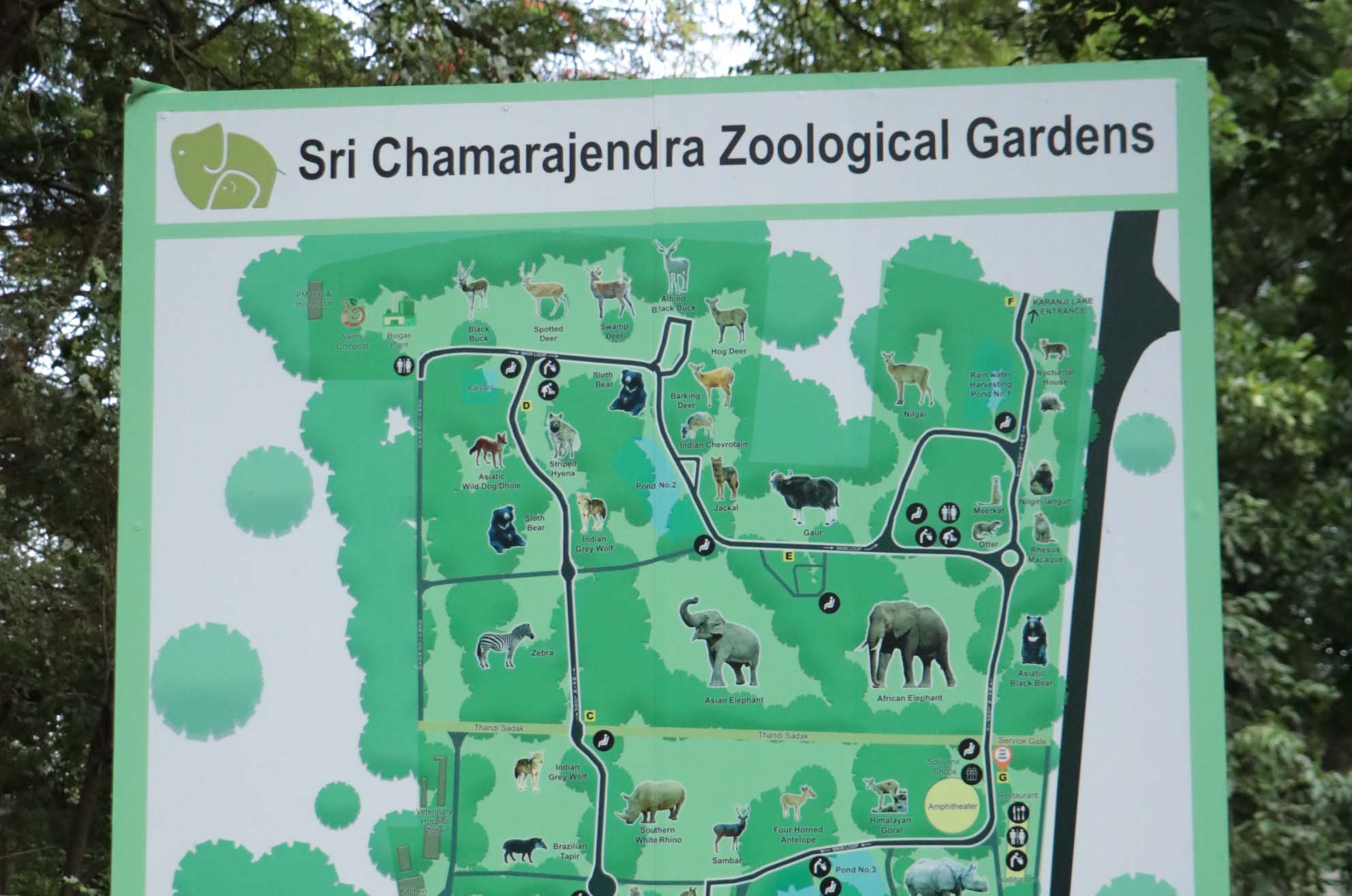 Mysuru Zoo